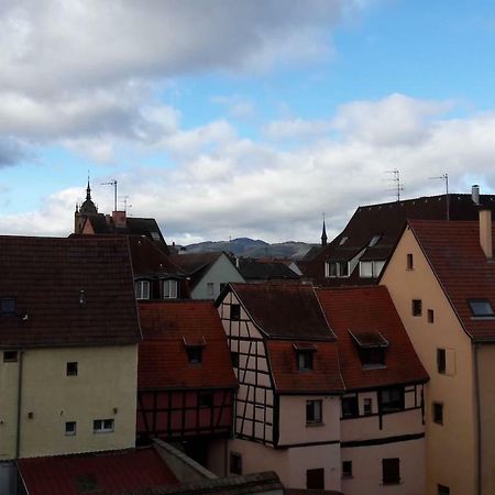 Gite Hopla 2 Chambres Colmar Zewnętrze zdjęcie