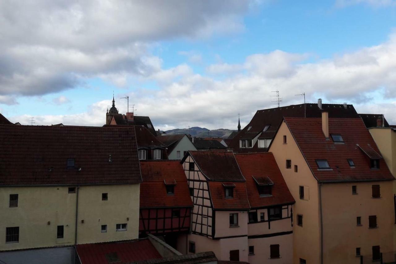 Gite Hopla 2 Chambres Colmar Zewnętrze zdjęcie