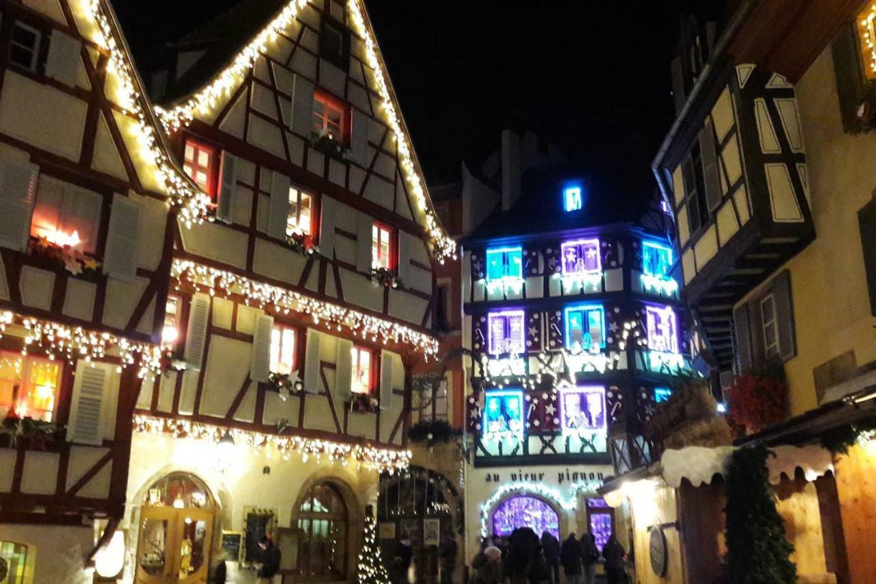 Gite Hopla 2 Chambres Colmar Zewnętrze zdjęcie